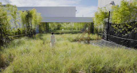 チームラボ「風と雨と太陽の草原」