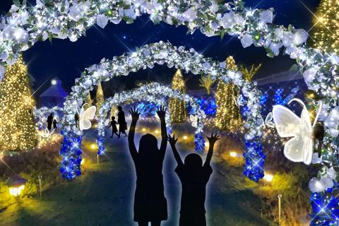 「HIKARIUM2025」ローズフォレスト