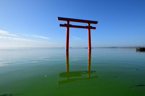 関東最強のパワースポット！東国三社を1日でめぐってみた