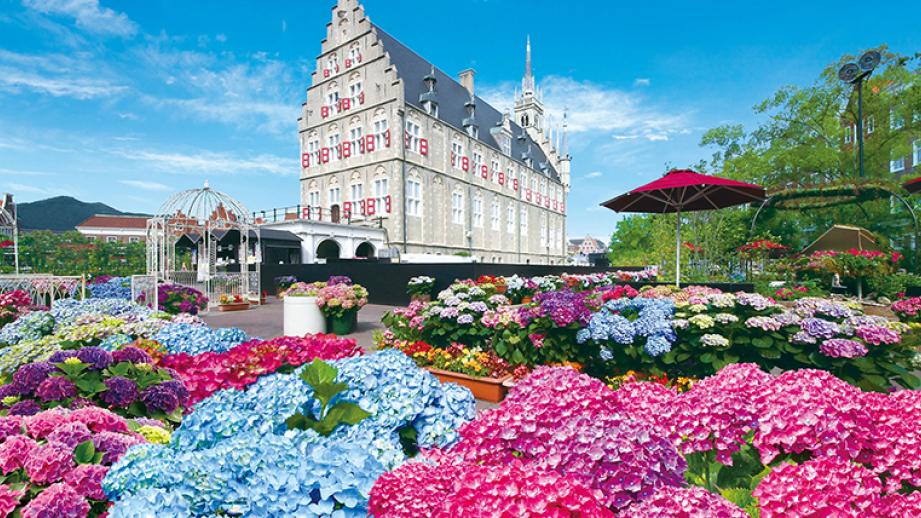 ハウステンボス　あじさい祭