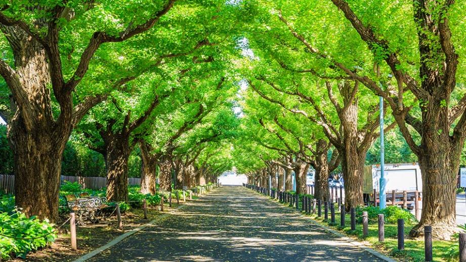  青山・表参道のおすすめ観光名所