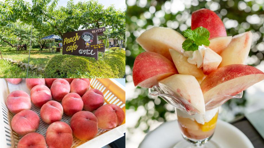 山梨・石和温泉から行ける！朝採れフルーツパフェを楽しめるカフェ