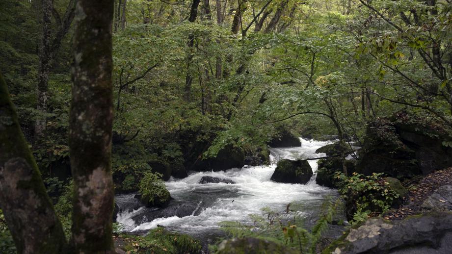 十和田八幡平国立公園