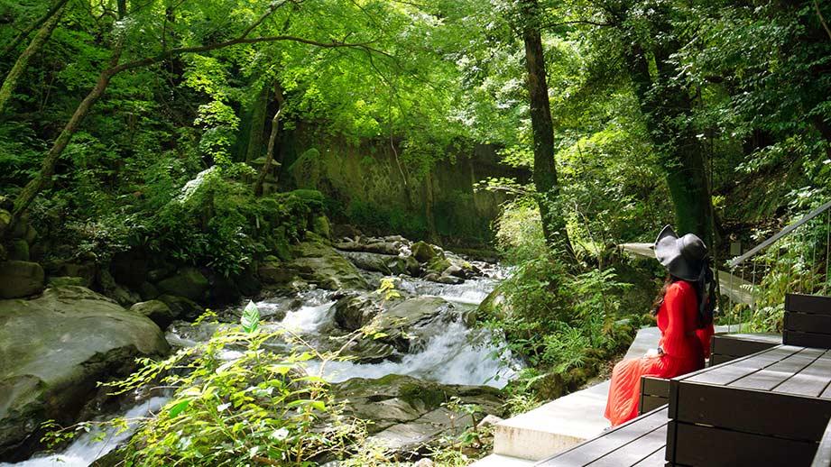 万葉公園 湯河原総湯 Books & Retreat