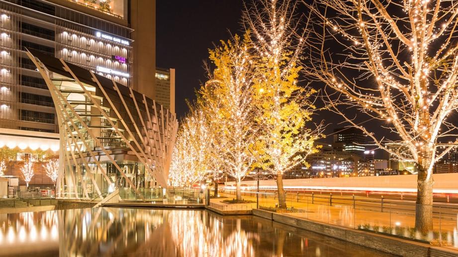 シャンパンゴールドイルミネーション