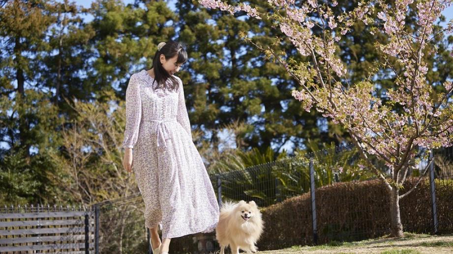 愛犬お宿　伊豆高原