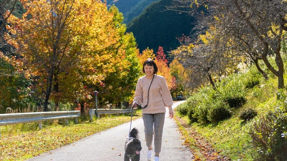 松阪わんわんパラダイス　森のホテルスメール