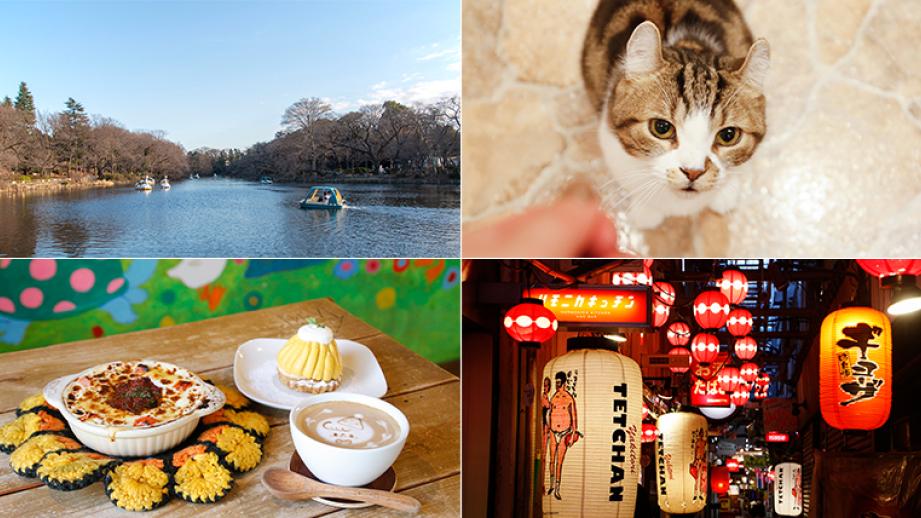 東京・吉祥寺女子旅1日モデルコース！井の頭恩賜公園やかわいいカフェ巡りへ