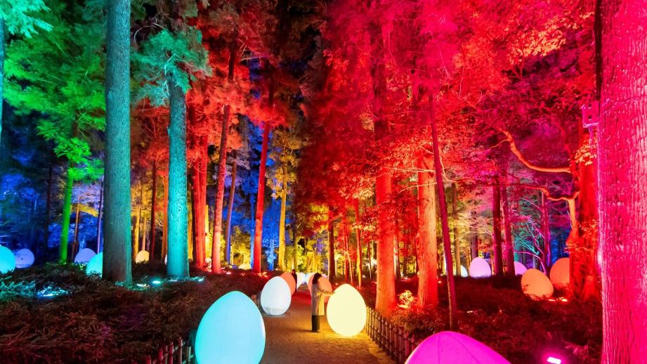 チームラボ 偕楽園 光の祭 2022