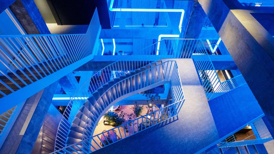 アートと食で五感を満たす 「白井屋ホテル」