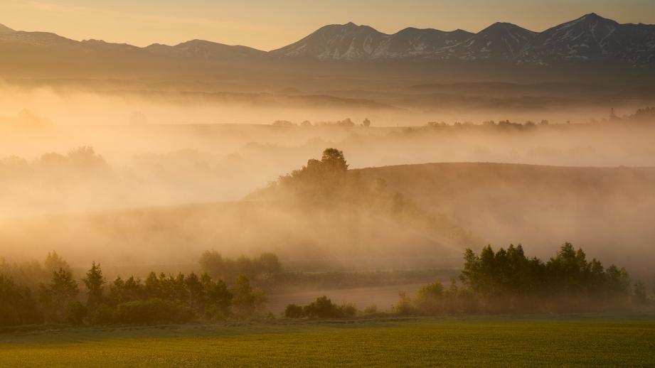早朝のマイルドセブンの丘