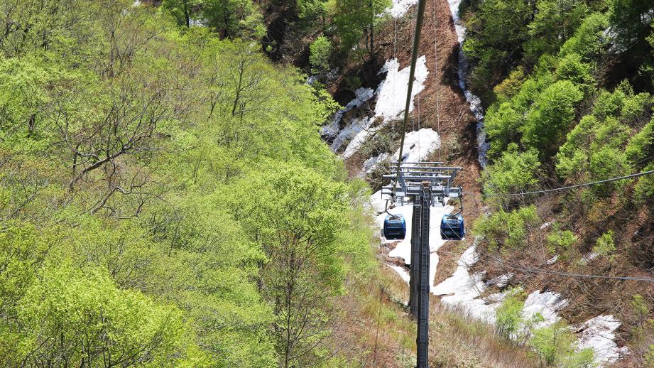 新緑と残雪の間を進む苗場ドラゴンドラ