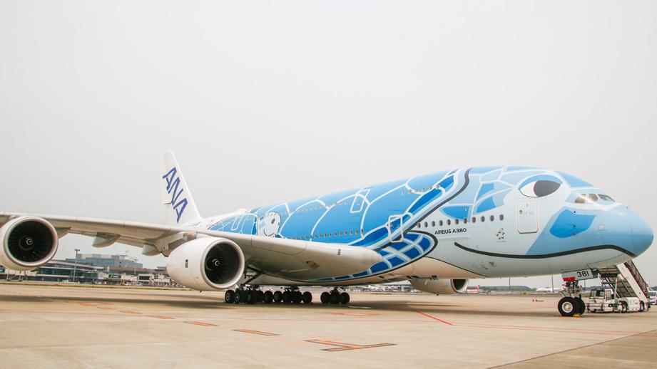 世界最大の旅客機でハワイへ！ANA「FLYING HONU（フライングホヌ）」が7月に運航再開