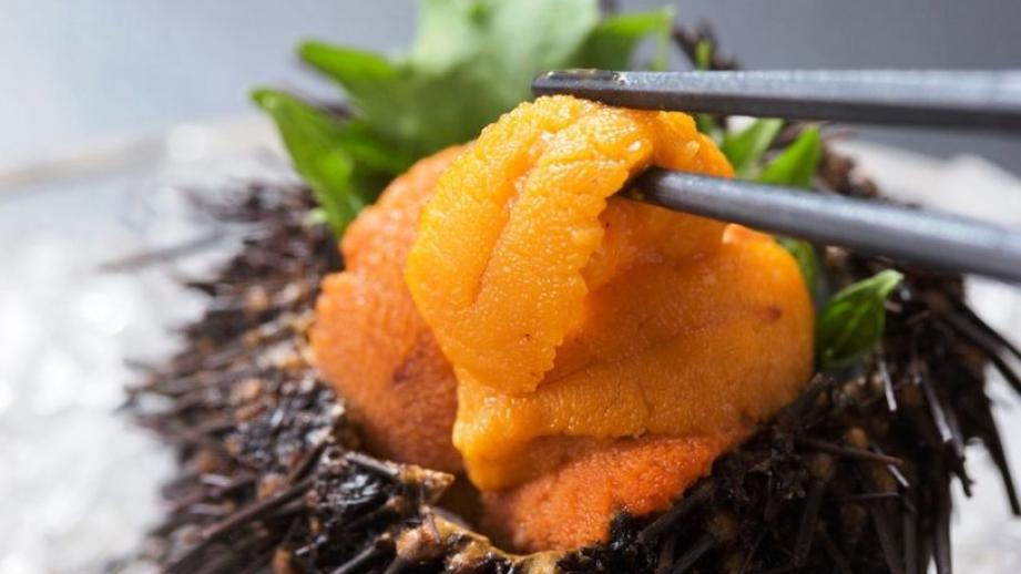 国産ウニの漁獲量2位を誇る岩手県のウニ