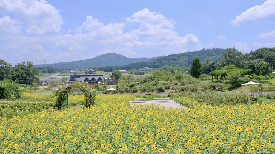 茨城県石岡市・八郷の里山に広がる「いばらきフラワーパーク」