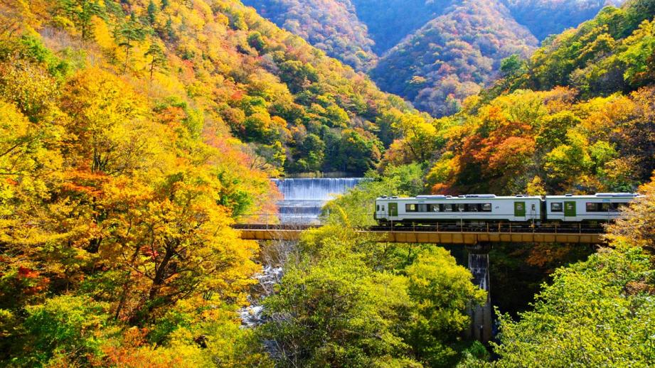 「休暇村　陸中宮古」三陸エリアの紅葉が秘かな人気