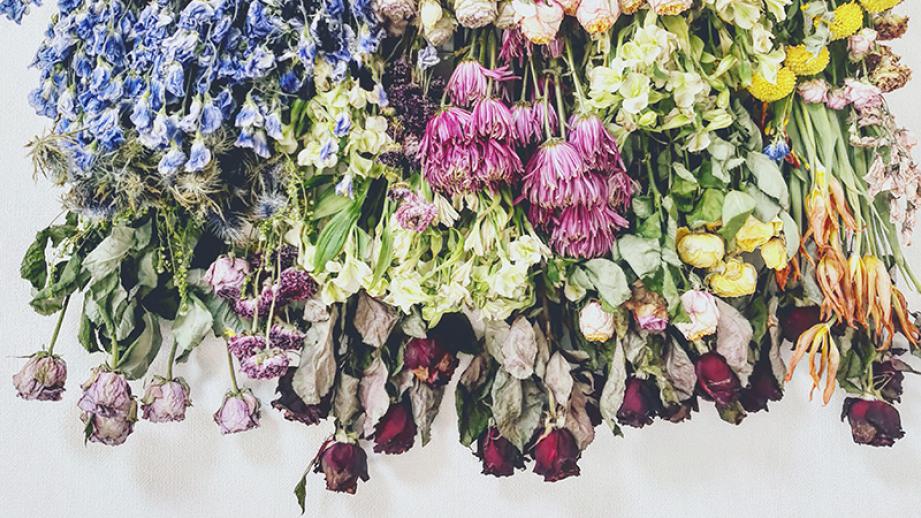 廃棄される花をドライフラワーとして、再び咲きほこらせます