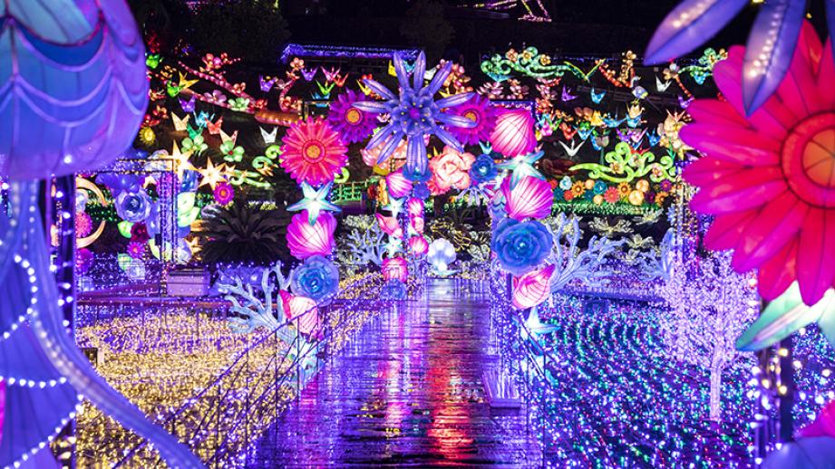 関東三大夜景のひとつ「さがみ湖イルミリオン」