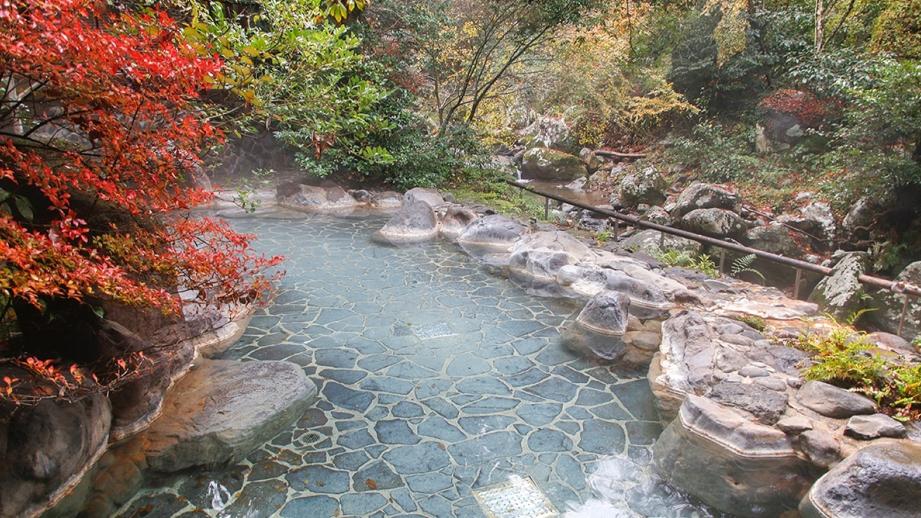 嬉野温泉 大正屋 椎葉山荘