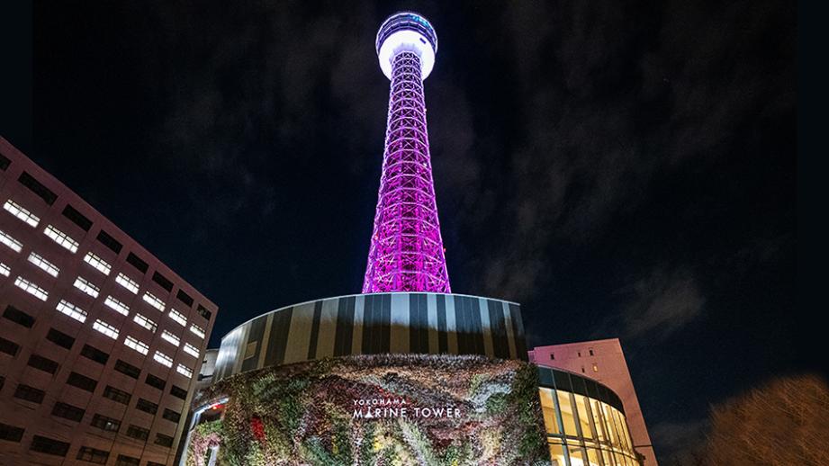 横浜マリンタワー