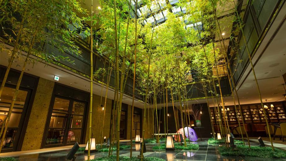 「ダーワ・悠洛 京都」竹林