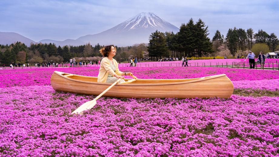 富士芝桜まつり