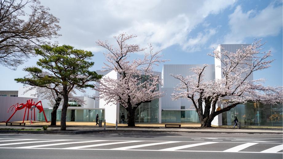 現代アートとご当地グルメ！青森県十和田市で街歩きの旅