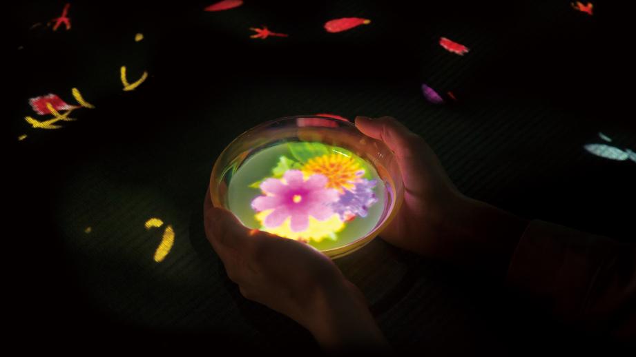 チームラボとコラボした茶屋「EN TEA HOUSE」が九州・御船山楽園に期間限定オープン