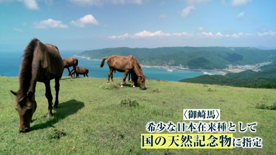 宮崎県串間市 夏の大満喫ツアー!!! 