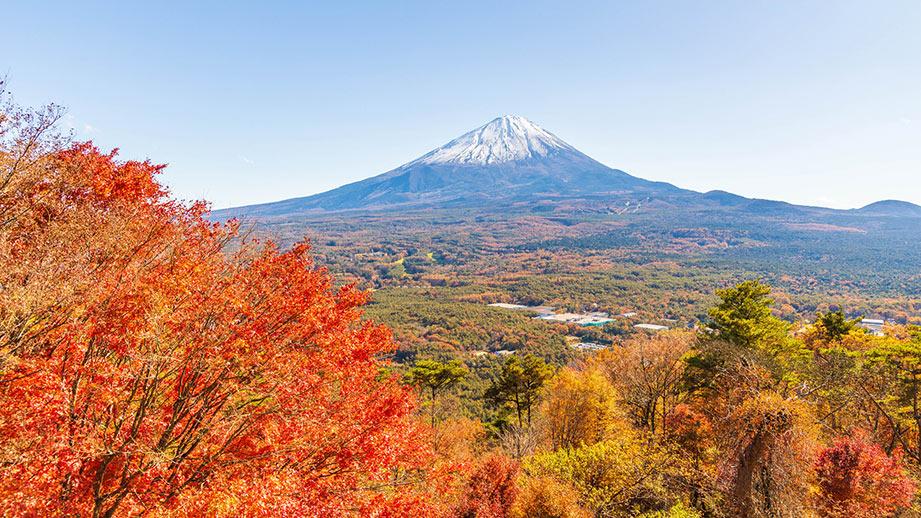 山梨県のおすすめ紅葉名所18選！2023年見頃や穴場、ライトアップ情報も