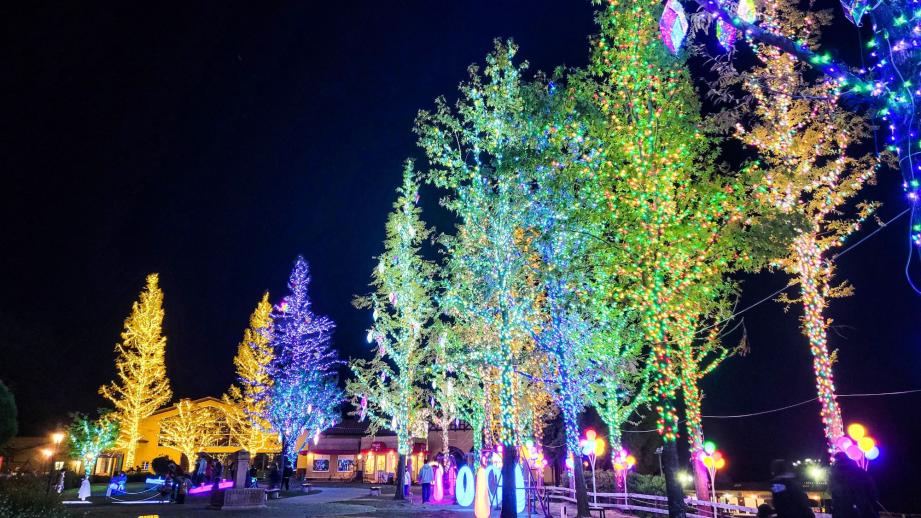 大阪・体験型農業公園「ハーベストの丘」でイルミネーションイベント