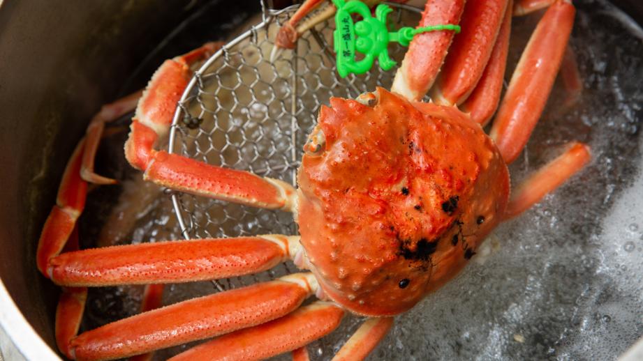 いよいよ漁解禁！「休暇村 竹野海岸」で1人2杯の贅沢な「活け松葉蟹フルコース」を