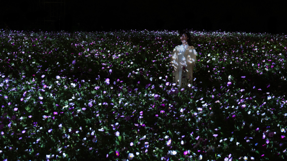 「チームラボ ボタニカルガーデン 大阪」作品が秋の装いに