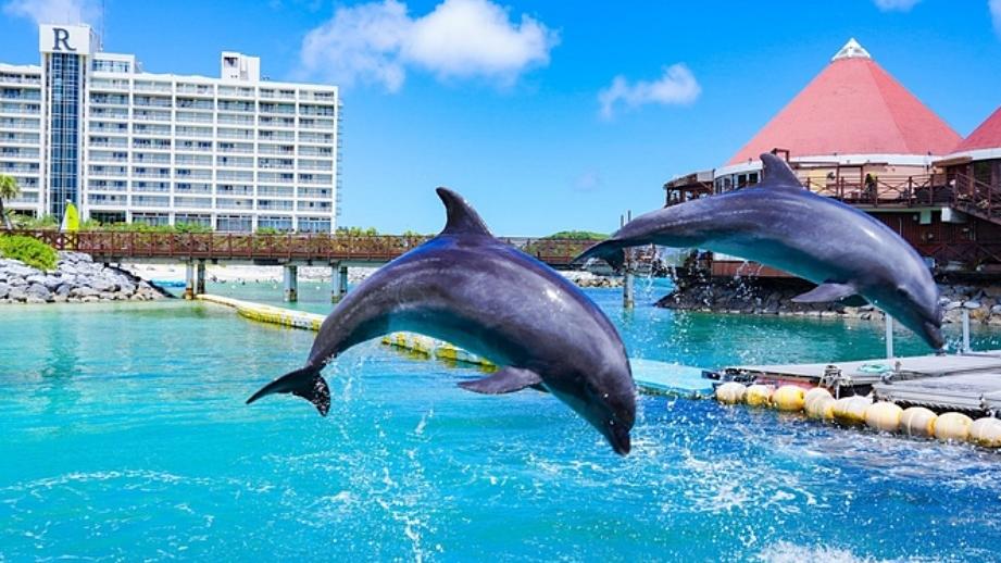 子連れファミリーに人気の宿！沖縄北部（恩納・名護・本部・今帰仁）