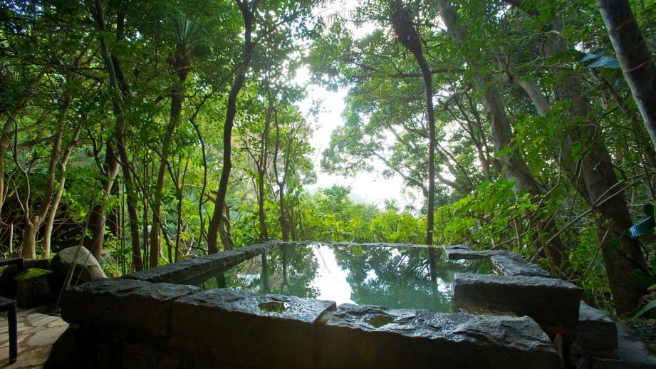 1万坪の敷地に 15 棟のみ！ 離れの露天風呂付き Villa で 天草の魅力を堪能