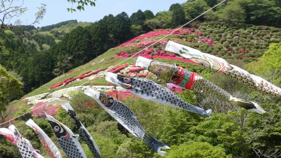 6万株のつつじと150匹のこいのぼりの絶景を！熱海「つつじ・こいのぼりまつり」
