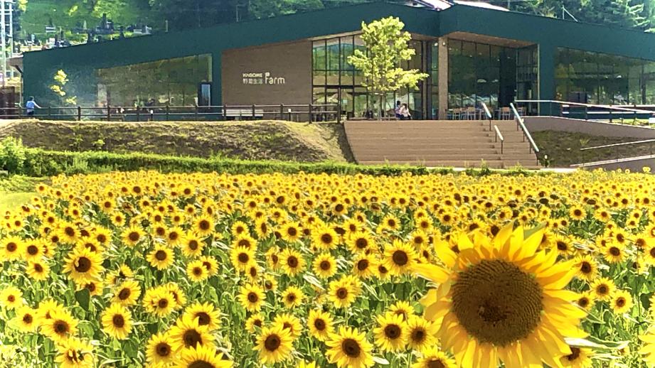 工場見学に収穫体験も！長野のテーマパーク「カゴメ野菜生活ファーム富士見」で野菜体験