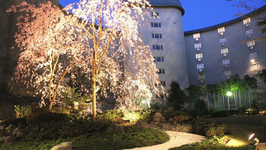 「ザ・プリンス 京都宝ヶ池」ライトアップ刷新