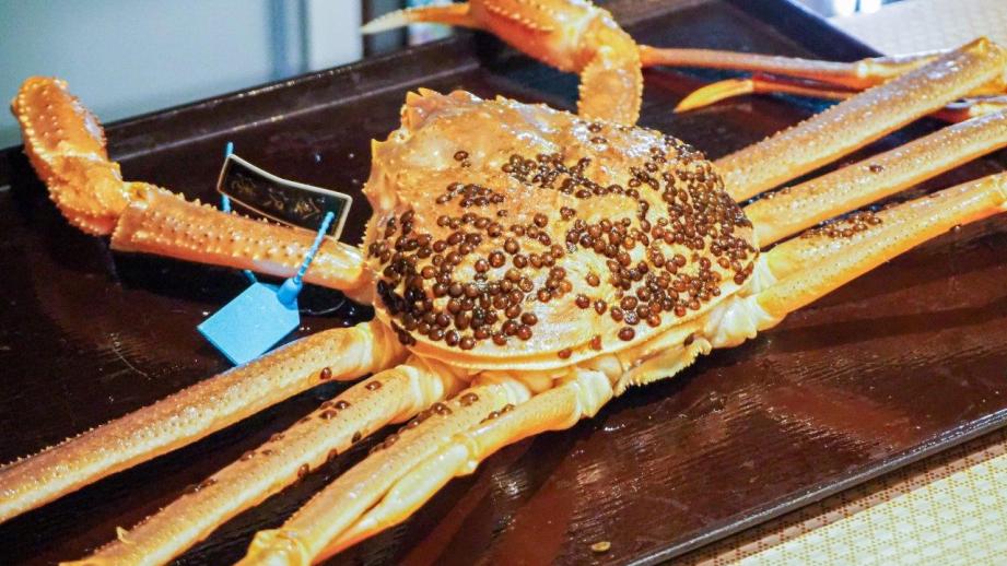 【台湾出身編集者kumaの金沢散歩】居酒屋割烹『田村』で生きたズワイカニを捌く凄技を拝見してきました！