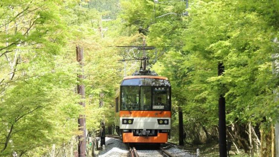 叡山電鉄　青もみじトンネル