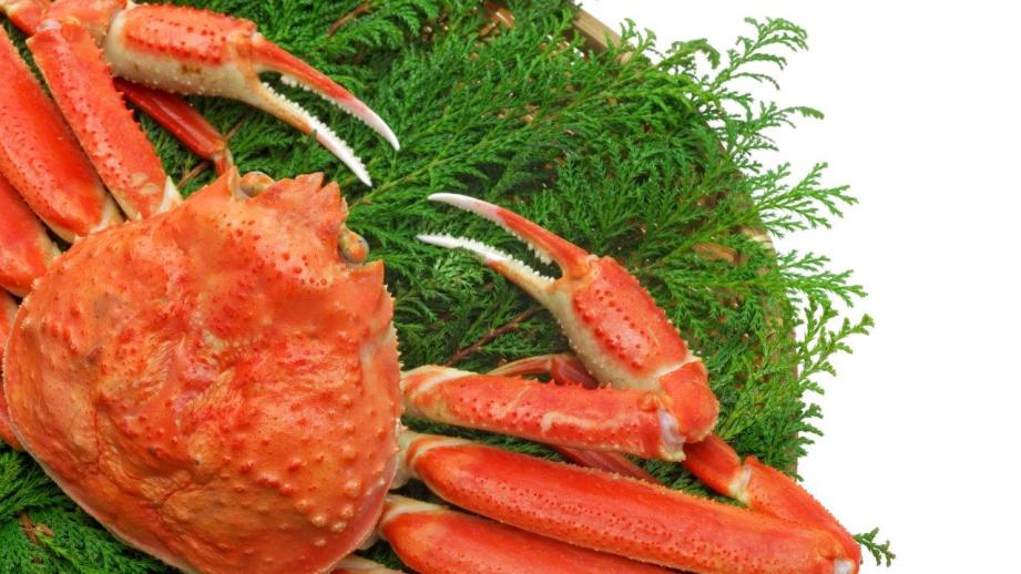 鳥取県で食べたい！ご当地グルメ・旅めしランキング