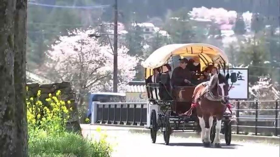 湯布院名物「辻馬車」　新しい車両にリニューアル　ポーランド製で木目調の２台お披露目　大分