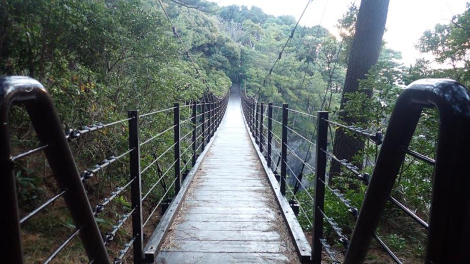 【伊東・城ヶ崎海岸】早朝がおすすめ！つり橋や自然観察路を歩く約40分コース