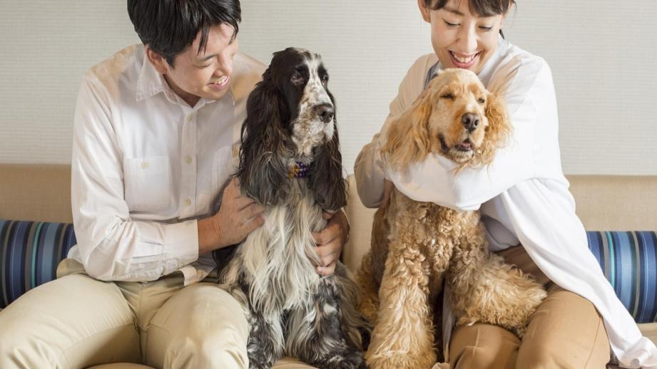 南紀白浜わんわんパラダイス