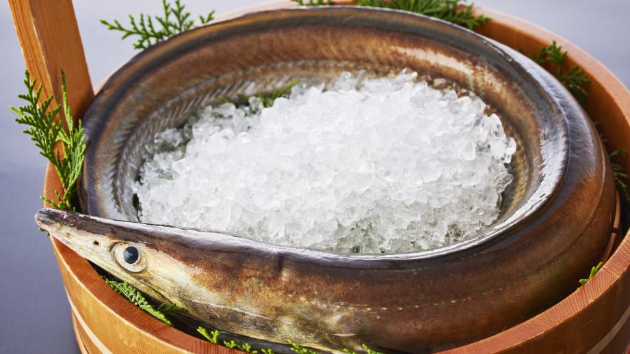 関西の夏の風物詩！ 淡路島でブランド食材「べっぴんハモ」の水揚げ始まる