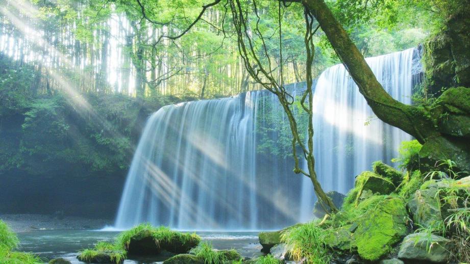 【熊本】新千円札の肖像画「北里柴三郎」ゆかりの地、小国・黒川温泉を遊びつく す日帰りドライブ旅