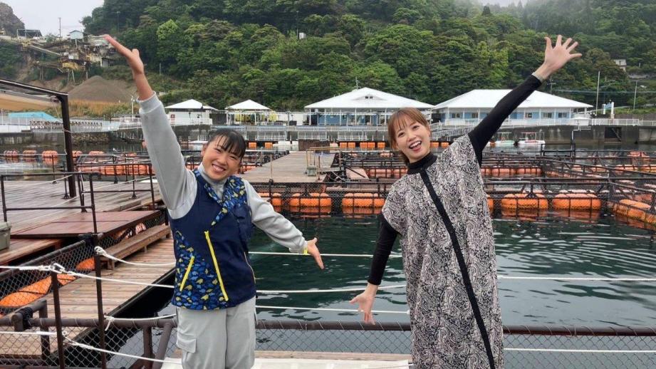 初挑戦「イルカと泳ぐ」迷っている人も一度は体験をおすすめ