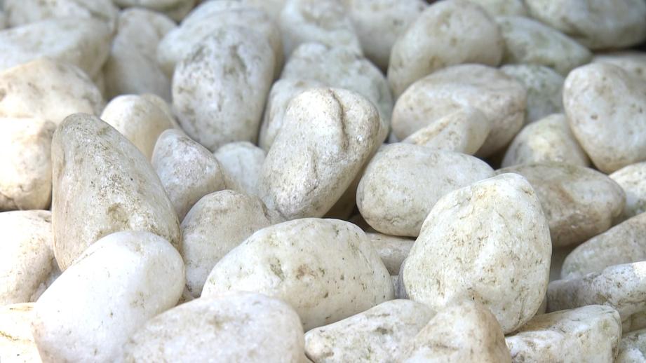 【静岡県掛川市・事任八幡宮】願いが叶う不思議な石! 長い階段を乗り越えた先にある言い伝えとは