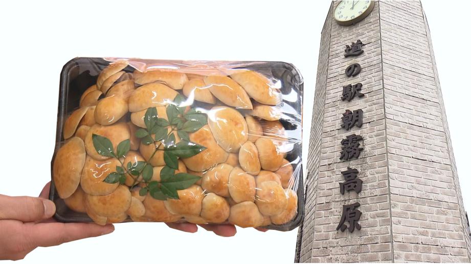 【静岡県富士宮市・朝霧高原】巨大なめこに仰天するよ! 静岡県内人気ナンバーワン道の駅を調査