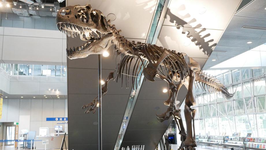 恐竜博物館